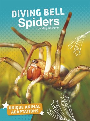 cover image of Diving Bell Spiders